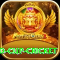 2022 world cup cricket Premium Plus v1.3.9