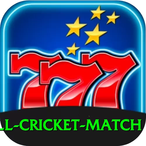 all cricket match Deluxe v2.2.0 - 2