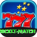 all cricket match Deluxe v2.2.0