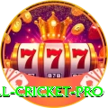 all cricket Live Casino King