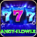 andy flower Master v5.1.4