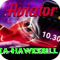 antigua hawksbill Deluxe Pro v1.1.8