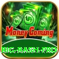 big bash Premium Slots