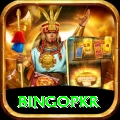 bingopkr Master Pro v5.9.0