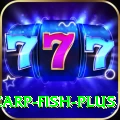 carp fish - Casino Pro