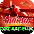 cricket bat Casino Official v2.0.4