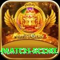 cricket match score VIP v3.2.8