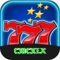crickex Gold vv5.2.8