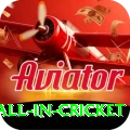 fastest ball in cricket VIP Edition v5.8.1