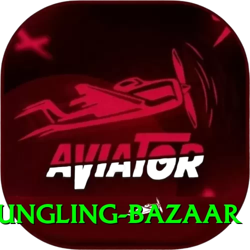 fungling bazaar Plus Pro v2.1.1 - 2