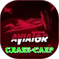 grass carp Master Pro v4.1.7