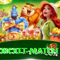 india cricket match Deluxe v2.2.0