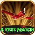 india test match VIP Edition v2.6.5