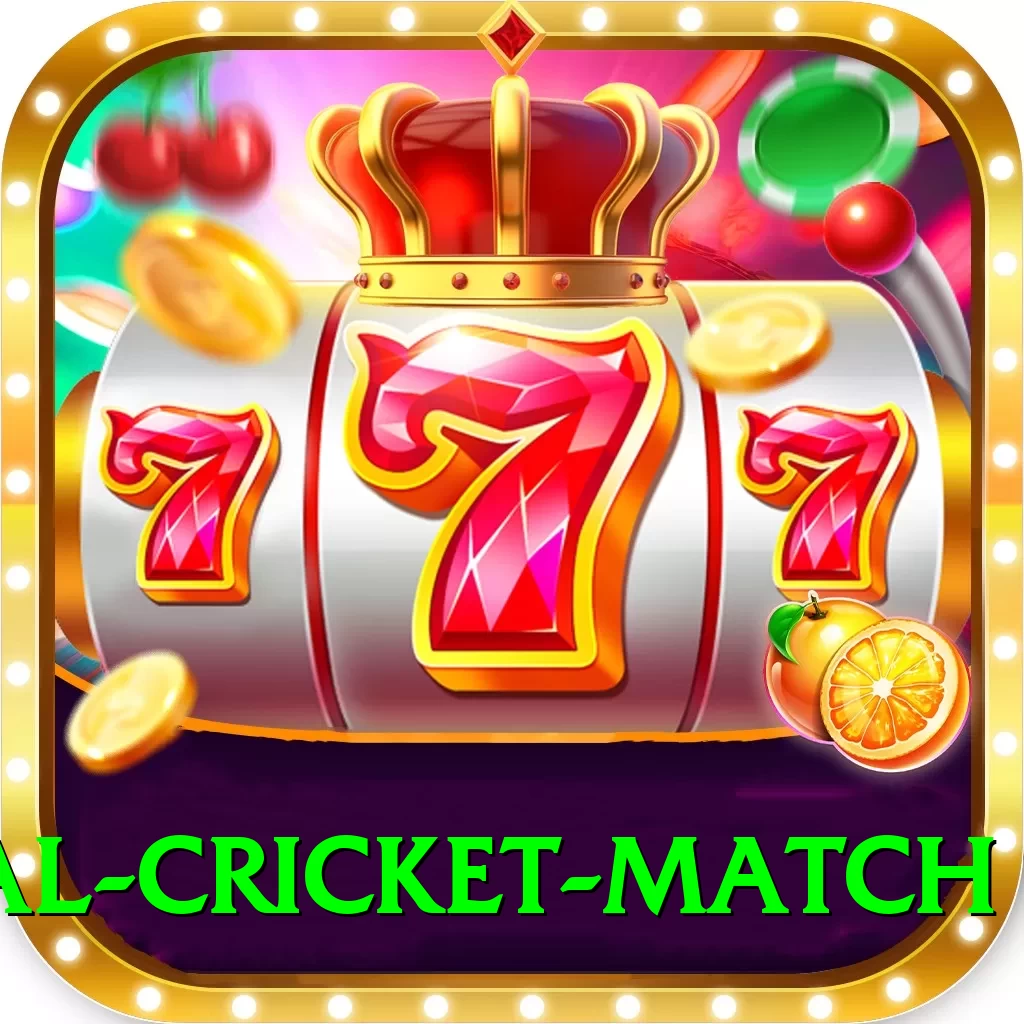 international cricket match Gold v3.4.8 - 2