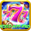 live cricket app Casino Champion v5.9.8