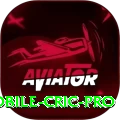 mobile cric King v5.5.2