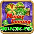 mobilecric Casino Turbo v1.5.6