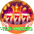 most test wickets Master Pro v3.7.7