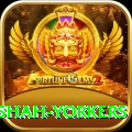 naseem shah yorkers Turbo v4.1.1