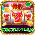 netherlands cricket team Ultimate Pro v3.0.7