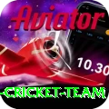 pakistan women cricket team Premium Edition v5.8.7