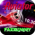pakrummy Deluxe v2.8.2