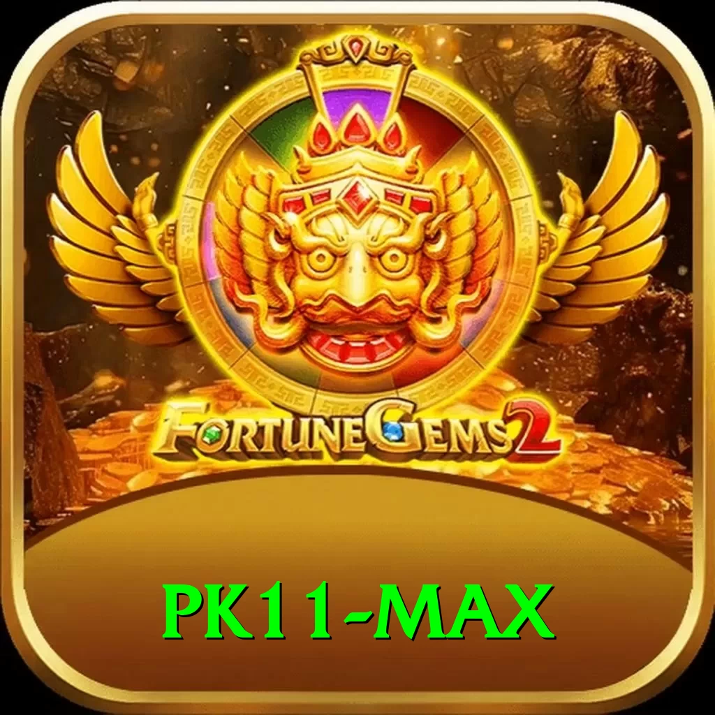 pk11 Max Pakistan - 2