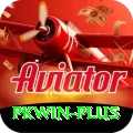 pkwin Pro Edition v3.5.2