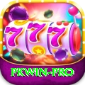 pkwin Pro v5.7.9