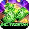 responsible gambling pakistan Games (Casino & Earning) Turbo v5.1.6