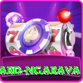 richard ngarava VIP Edition v1.2.5