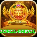 seti gorge bridge Pro Edition v2.6.6