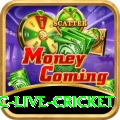 smartcric live cricket Games (Casino & Earning) Turbo v5.2.2