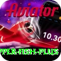snapper fish - Casino Pro