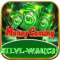 steve waugh Premium v3.8.1
