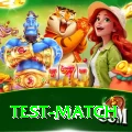 test match Apps (Tools & Injectors) Pro v2.8.2