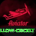 willow cricket Gold Pro v3.8.4