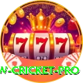 willow cricket - Extreme Earning App